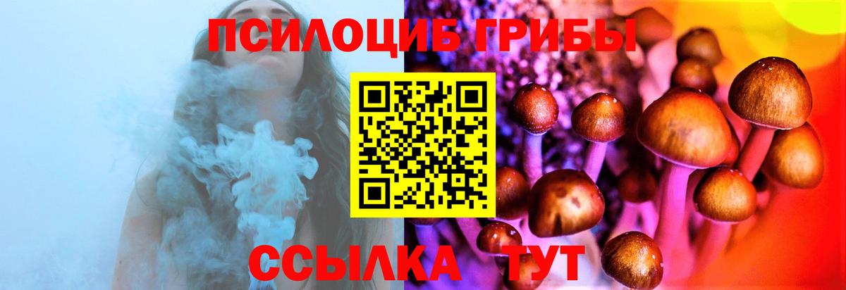 купить наркоту  Псилоцибиновые грибы мухоморы  Вход с VPN  Псилоцибиновые грибы Cubensis  Сызрань 